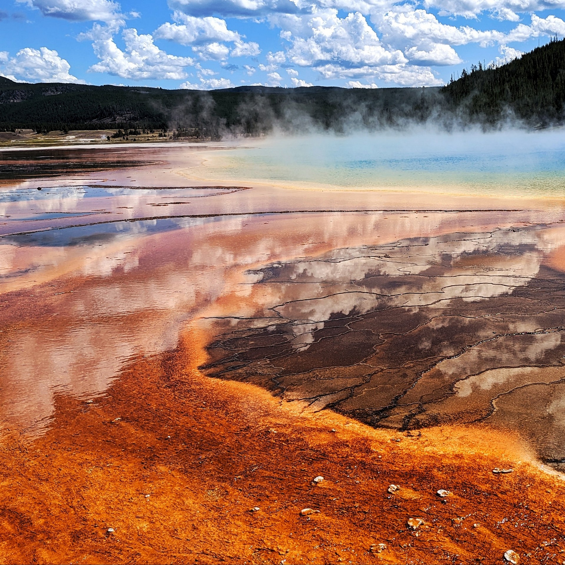 Yellowstone Region